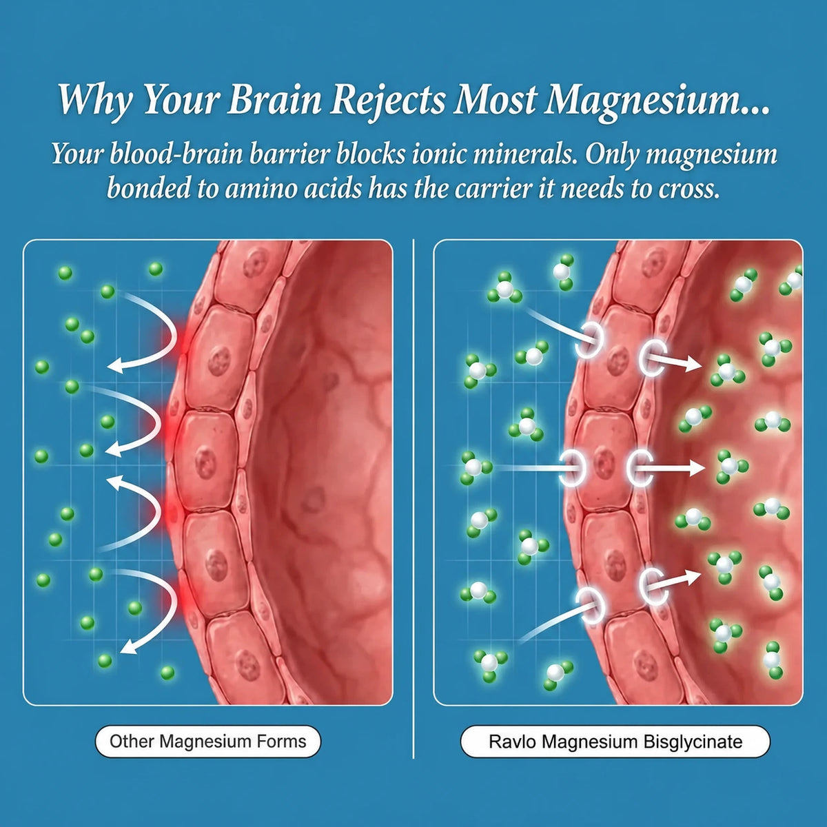 Magnesium Bisglycinate Gummies