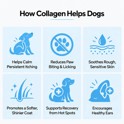Pet Liquid Collagen